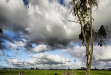 kaiyun开云体育:2-0!2-0!5大巨星全胜:郑钦文横扫,萨巴伦卡.