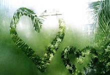 kaiyun开云体育:詹姆斯准三双浓眉30+13 格林33分客场不敌火箭.