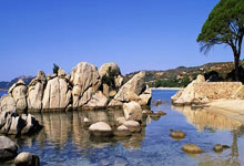 ...岁卡戴珊为何对东契奇主动示爱?东契奇妈妈回应_成为了_....